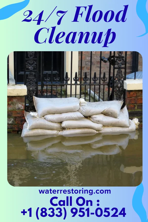 24/7 Flood Cleanup in Burleigh, NJ