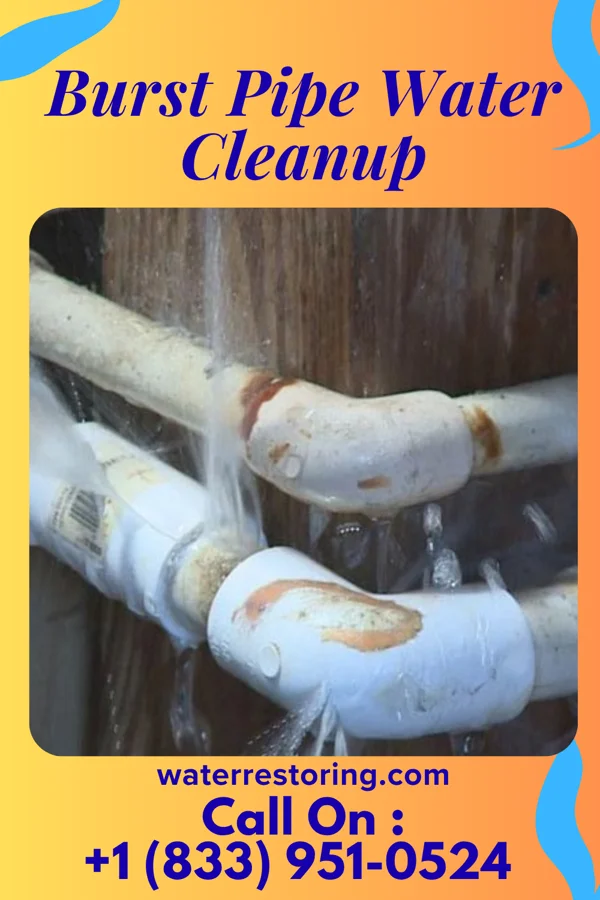 Burst Pipe Water Cleanup in Burleigh, NJ