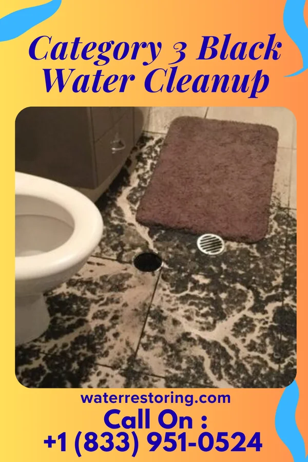 Category 3 Black Water Cleanup in Burleigh, NJ