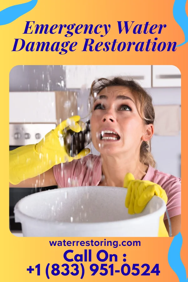 Emergency Water Damage Restoration in Burleigh, NJ