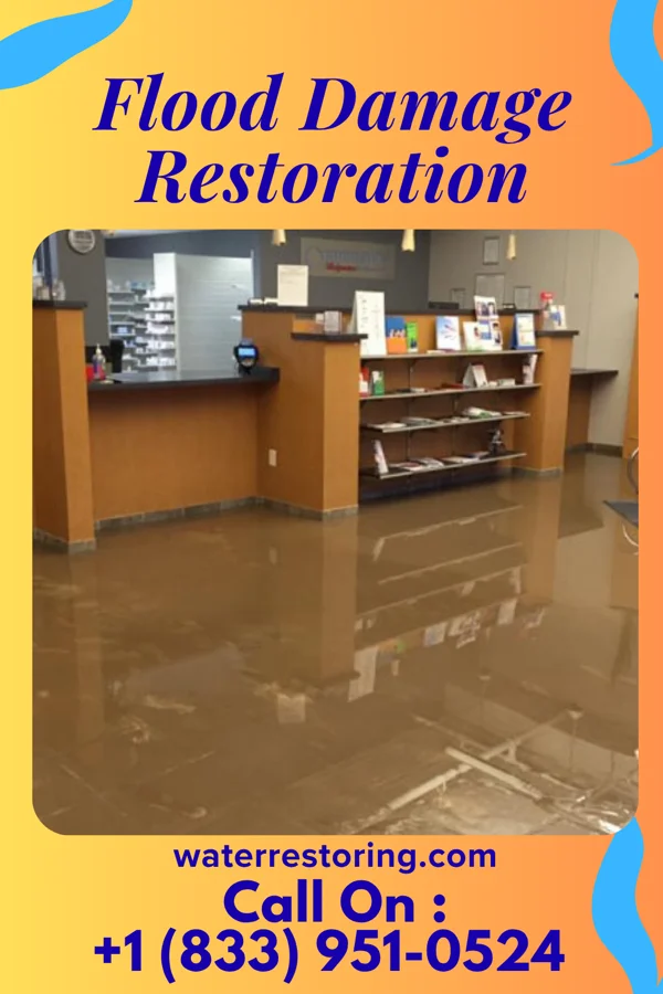 Flood Damage Restoration in Burleigh, NJ