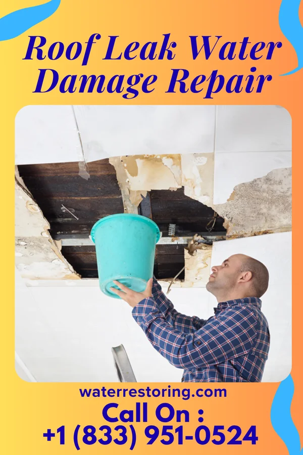 Roof Leak Water Damage Repair in Burleigh, NJ