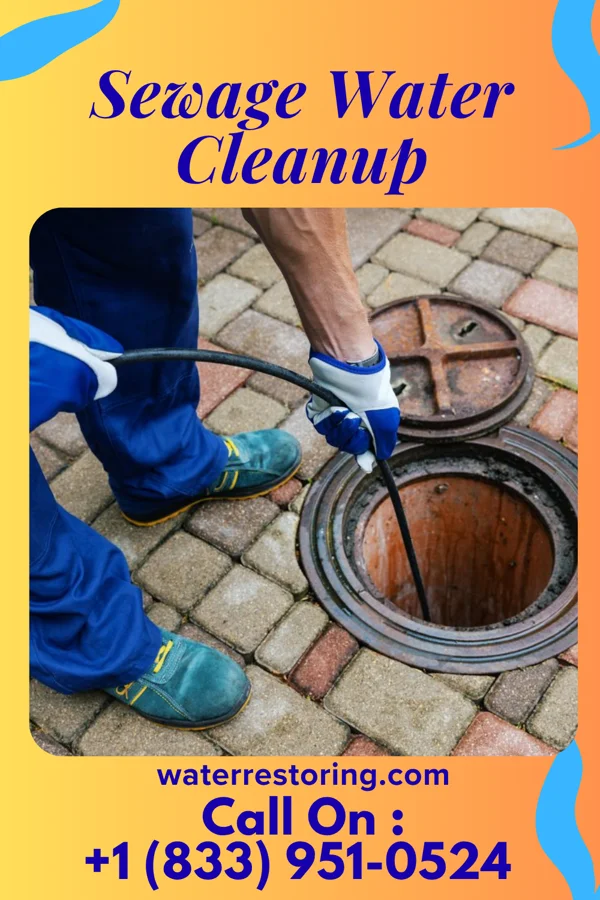 Sewage Water Cleanup in Burleigh, NJ